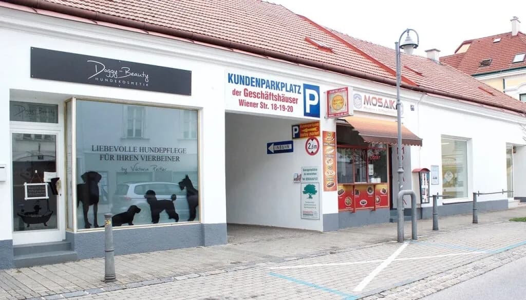 Gewerbeimmobilie mieten in Neunkirchen – 227 m², € 1.550 – Bild 3 von 13