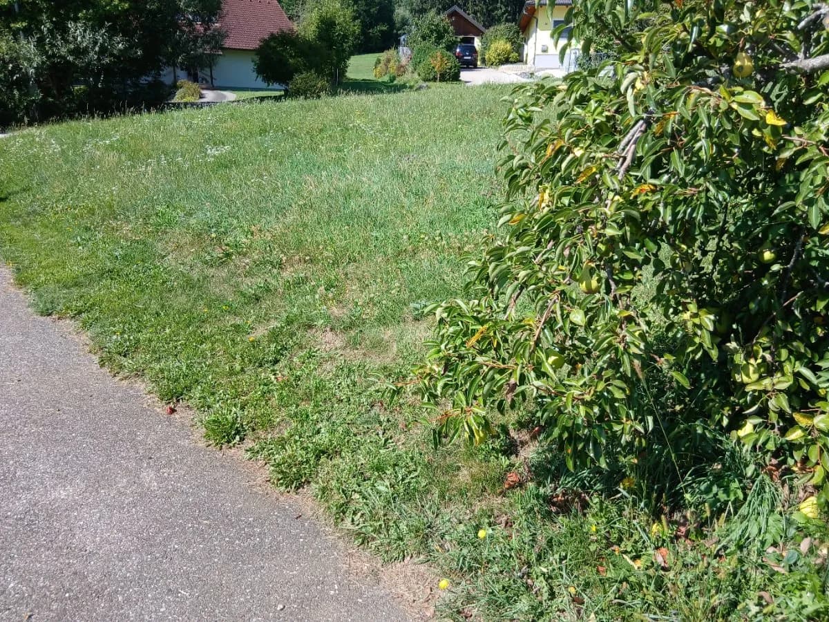 Grundstück kaufen in Sankt Veit an der Glan – 735 m², € 55.000 – Bild 1 von 3