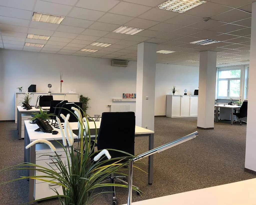 Gewerbeimmobilie mieten in Wiener Neustadt – 920 m², € 8.561 – Bild 6 von 14