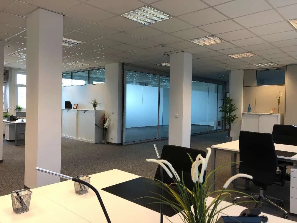 Gewerbeimmobilie mieten in Wiener Neustadt – 920 m², € 8.561 – Bild 7 von 14