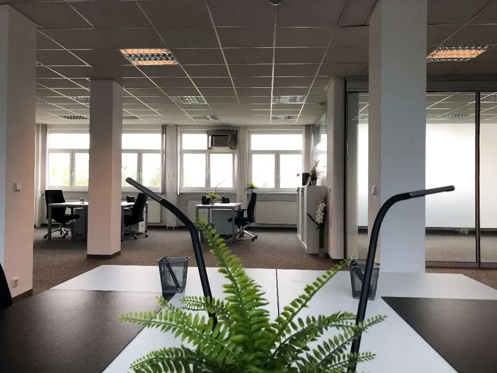 Gewerbeimmobilie mieten in Wiener Neustadt – 485 m², € 4.651 – Bild 9 von 13