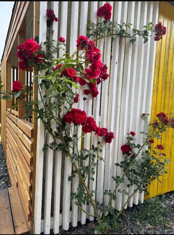 4-Zimmer-Haus kaufen in Völkermarkt – 132 m², € 1.099.000 – Bild 26 von 39