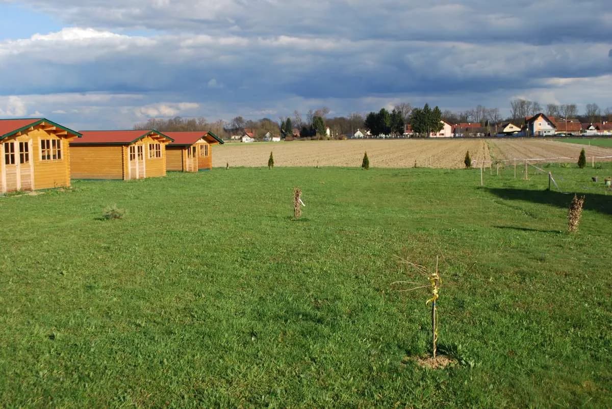 1-Zimmer-Wohnung mieten in Südoststeiermark – 16 m², € 67 – Bild 14 von 21