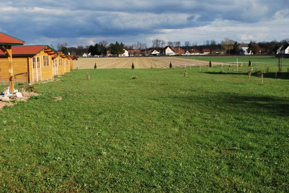 1-Zimmer-Wohnung mieten in Südoststeiermark – 16 m², € 67 – Bild 21 von 21