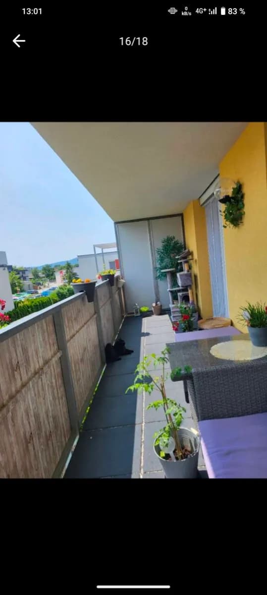 2-Zimmer-Wohnung mieten in Mödling – 48 m², € 633 – Bild 16 von 18