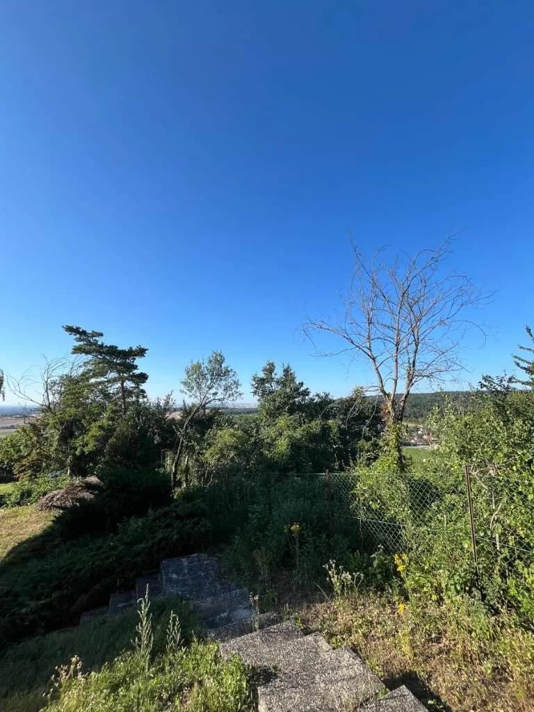 3-Zimmer-Haus mieten in Korneuburg – 105 m², € 1.600 – Bild 4 von 15