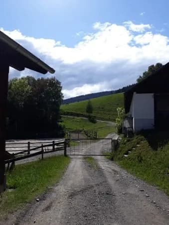 2-Zimmer-Wohnung mieten in Neunkirchen – 50 m², € 500 – Bild 11 von 11