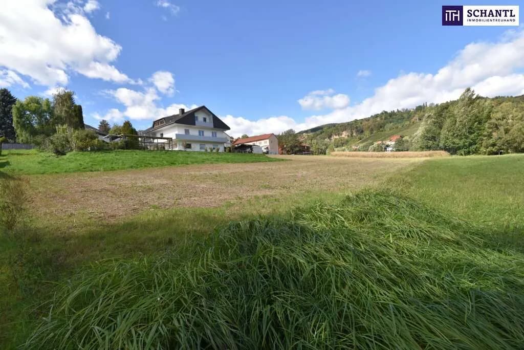 Grundstück kaufen in Deutschlandsberg – 2 368 m², € 199.000