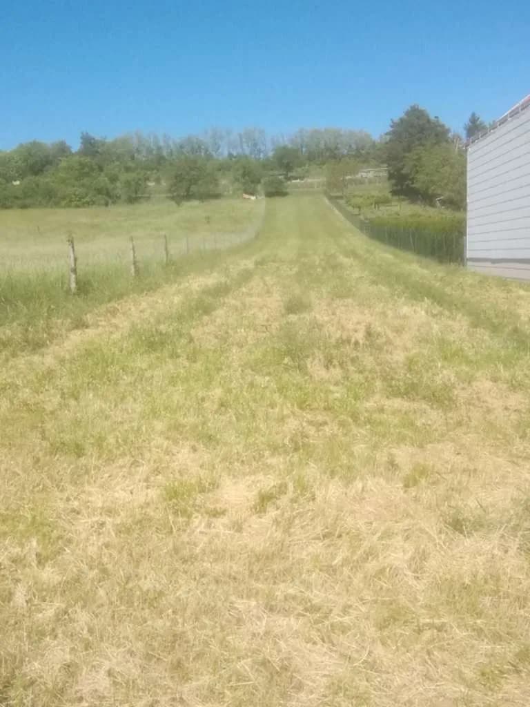 Grundstück kaufen in Oberpullendorf – 1 800 m², € 88.000 – Bild 2 von 4