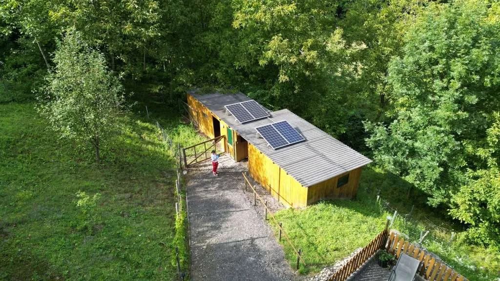 3-Zimmer-Wohnung kaufen in Südoststeiermark – 46 m², € 119.000 – Bild 8 von 8