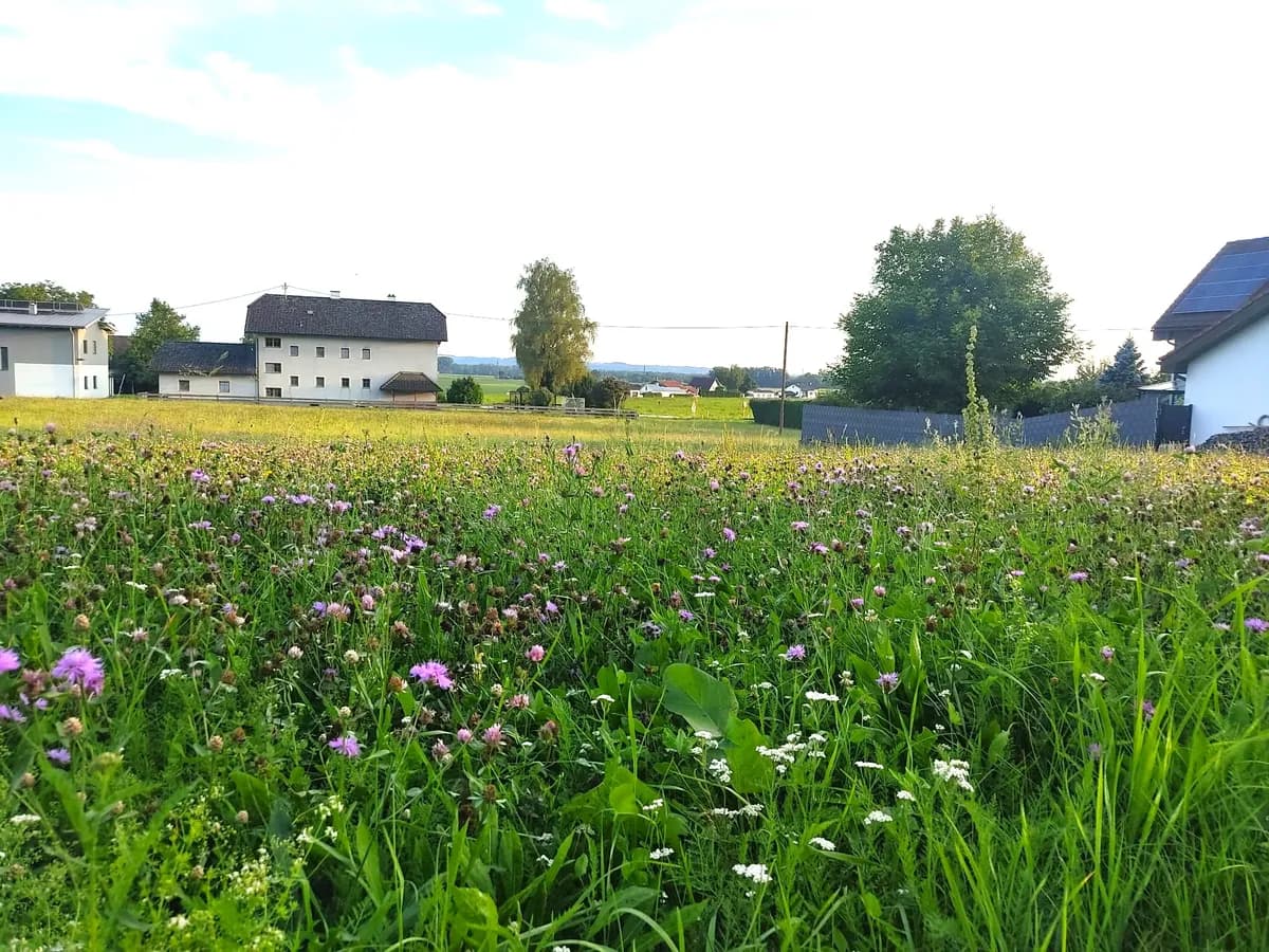 Grundstück kaufen in Urfahr-Umgebung – 954 m², € 143.000 – Bild 6 von 9