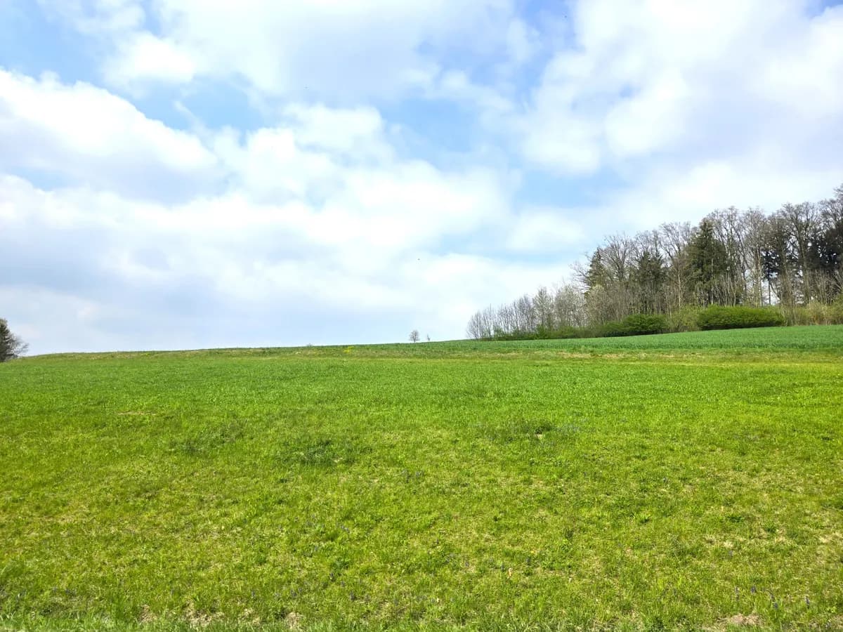 Grundstück kaufen in Grieskirchen – 8 618 m², € 41.000 – Bild 1 von 5
