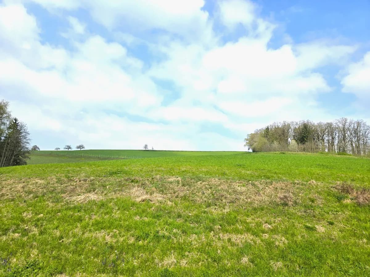Grundstück kaufen in Grieskirchen – 8 618 m², € 41.000 – Bild 2 von 5