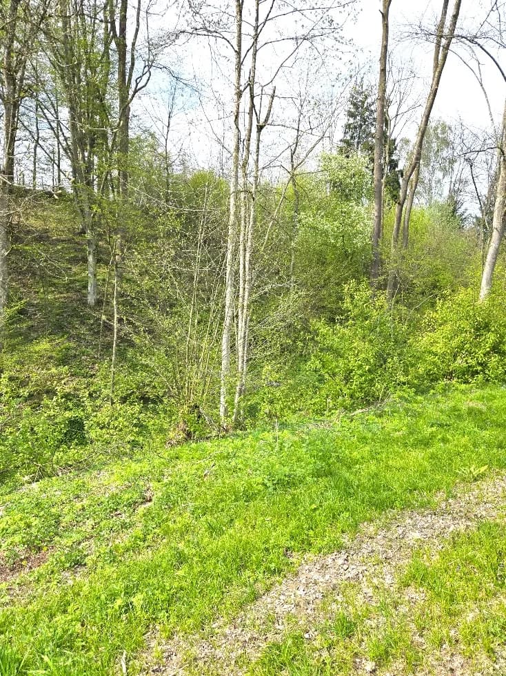 Grundstück kaufen in Grieskirchen – 8 618 m², € 41.000 – Bild 3 von 5
