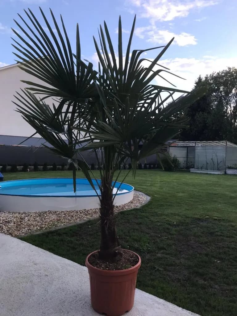 3-Zimmer-Haus kaufen in Oberwart – 102 m², € 290.000 – Bild 18 von 20