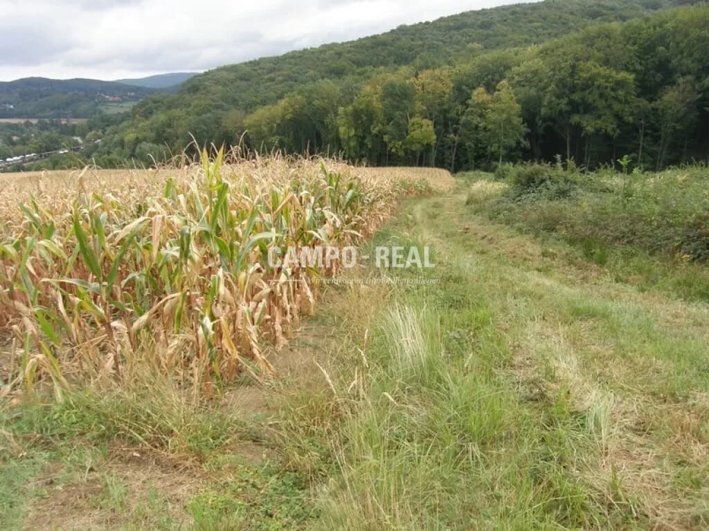 Grundstück kaufen in Sankt Pölten Land – 130 000 m², € 1.820.000 – Bild 1 von 5