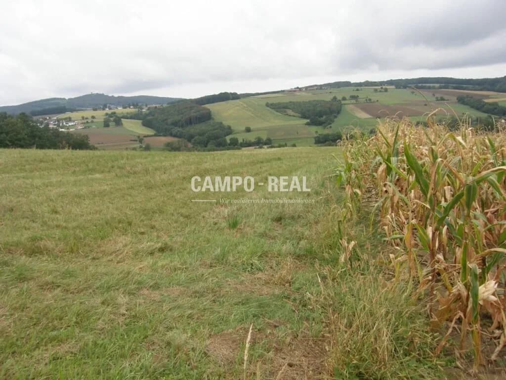 Grundstück kaufen in Sankt Pölten Land – 130 000 m², € 1.820.000 – Bild 2 von 5