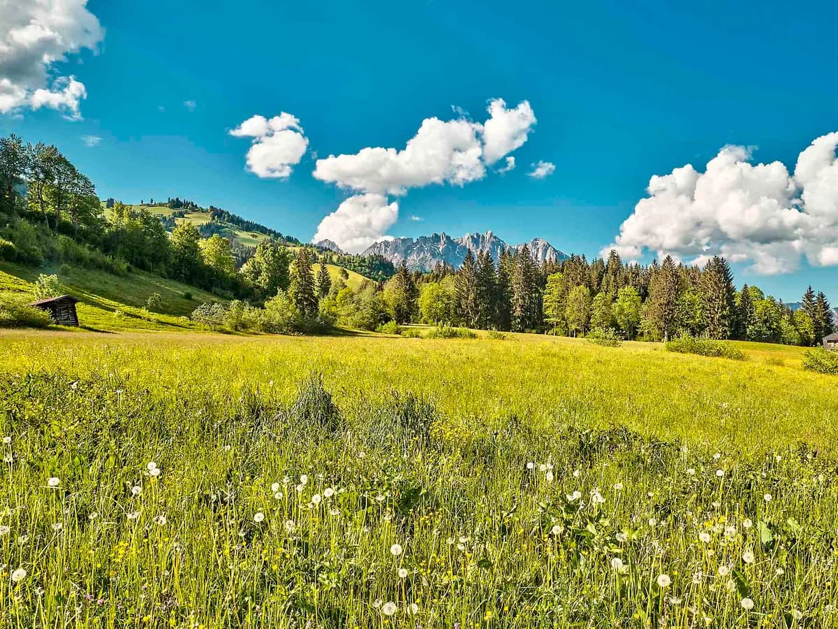 5-Zimmer-Haus kaufen in Kitzbühel – 374 m², € 5.490.000 – Bild 5 von 5