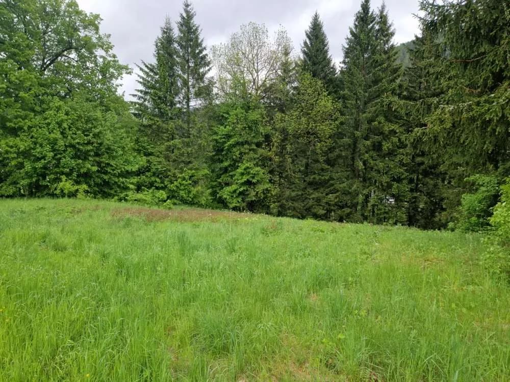 Grundstück kaufen in Bruck-Mürzzuschlag – 1 751 m², € 89.000 – Bild 2 von 4