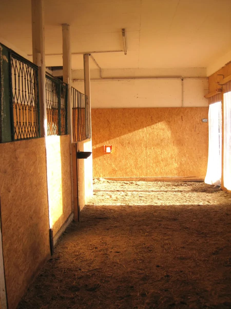 14-Zimmer-Immobilie kaufen in Amstetten – 375 m², € 650.000 – Bild 26 von 32