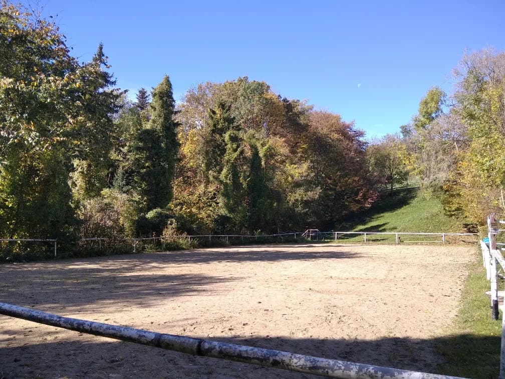 14-Zimmer-Immobilie kaufen in Amstetten – 375 m², € 650.000 – Bild 28 von 32