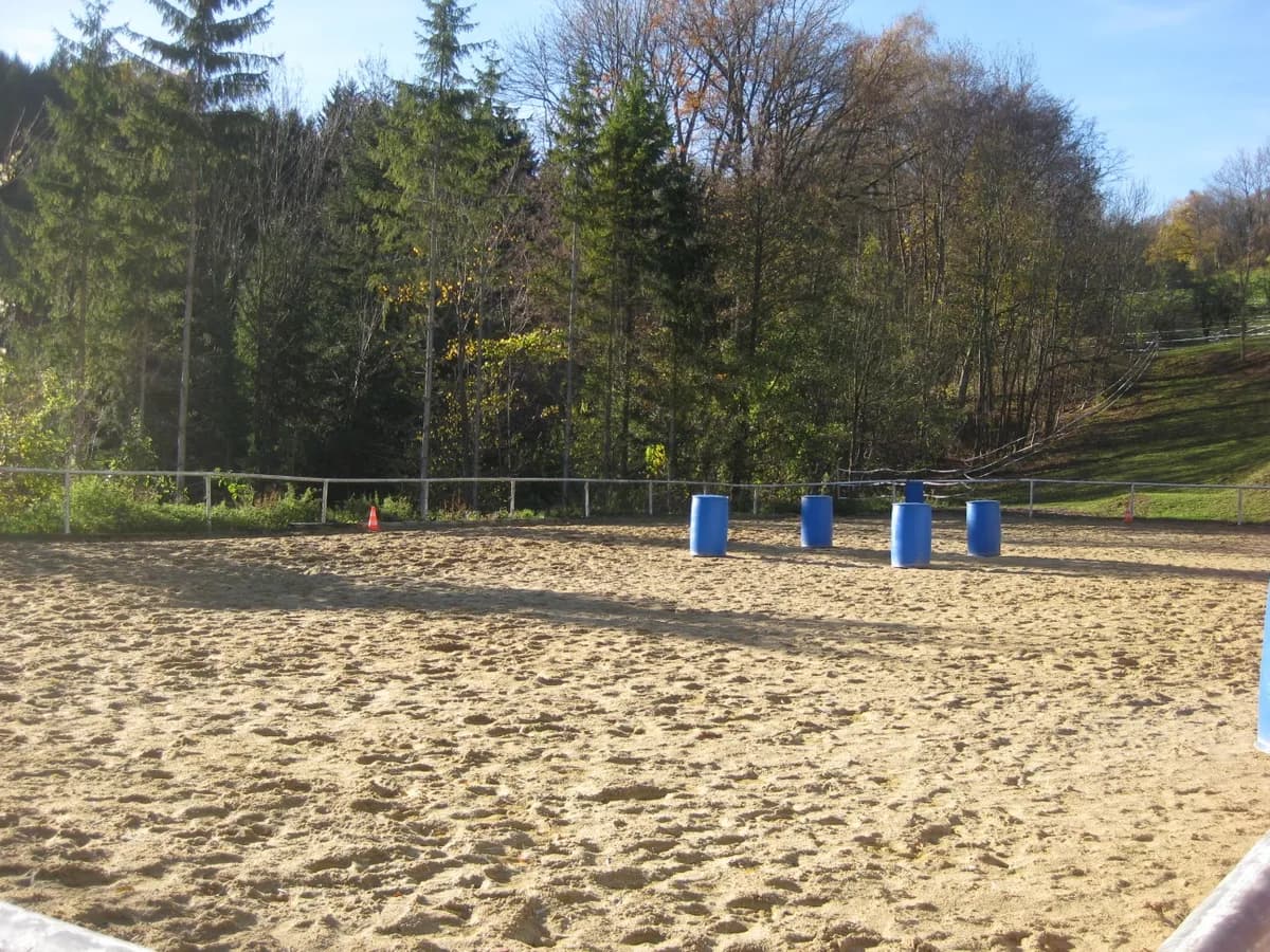 14-Zimmer-Immobilie kaufen in Amstetten – 375 m², € 650.000 – Bild 29 von 32