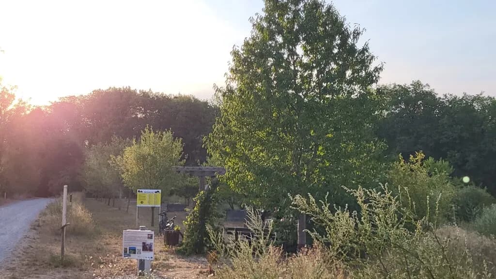 Grundstück kaufen in Eisenstadt - Umgebung – 521 m², € 279.000 – Bild 9 von 11