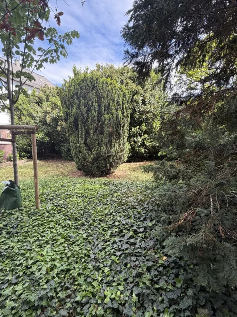 6-Zimmer-Haus kaufen in Wien – 158,18 m², € 1.179.000 – Bild 26 von 36