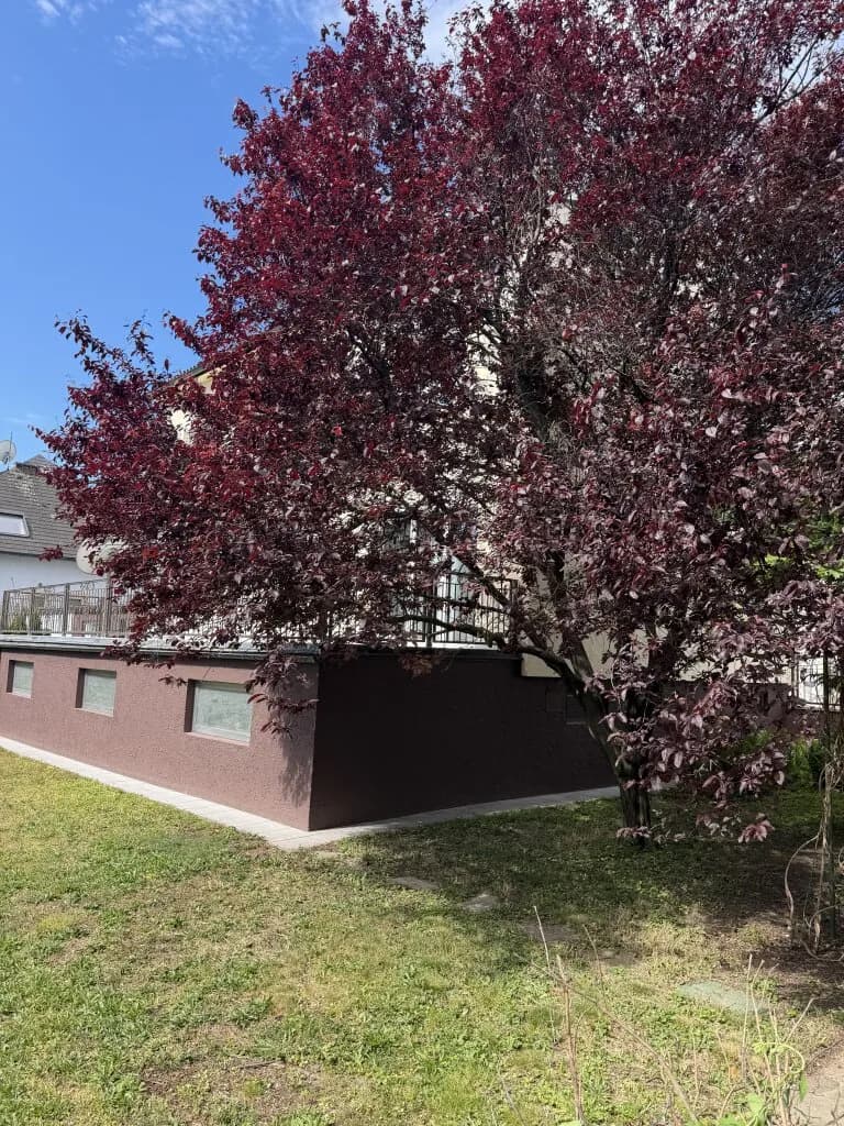 6-Zimmer-Haus kaufen in Wien – 158,18 m², € 1.179.000 – Bild 27 von 36