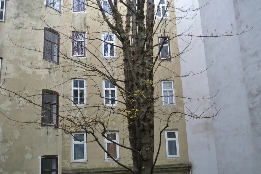 3-Zimmer-Wohnung kaufen in Wien – 112,92 m², € 739.000 – Bild 4 von 18