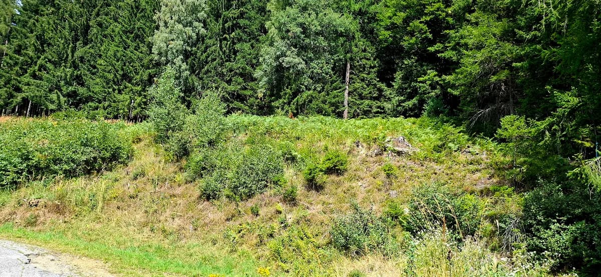 Grundstück kaufen in Deutschlandsberg – 1 000 m², € 49.000 – Bild 1 von 4