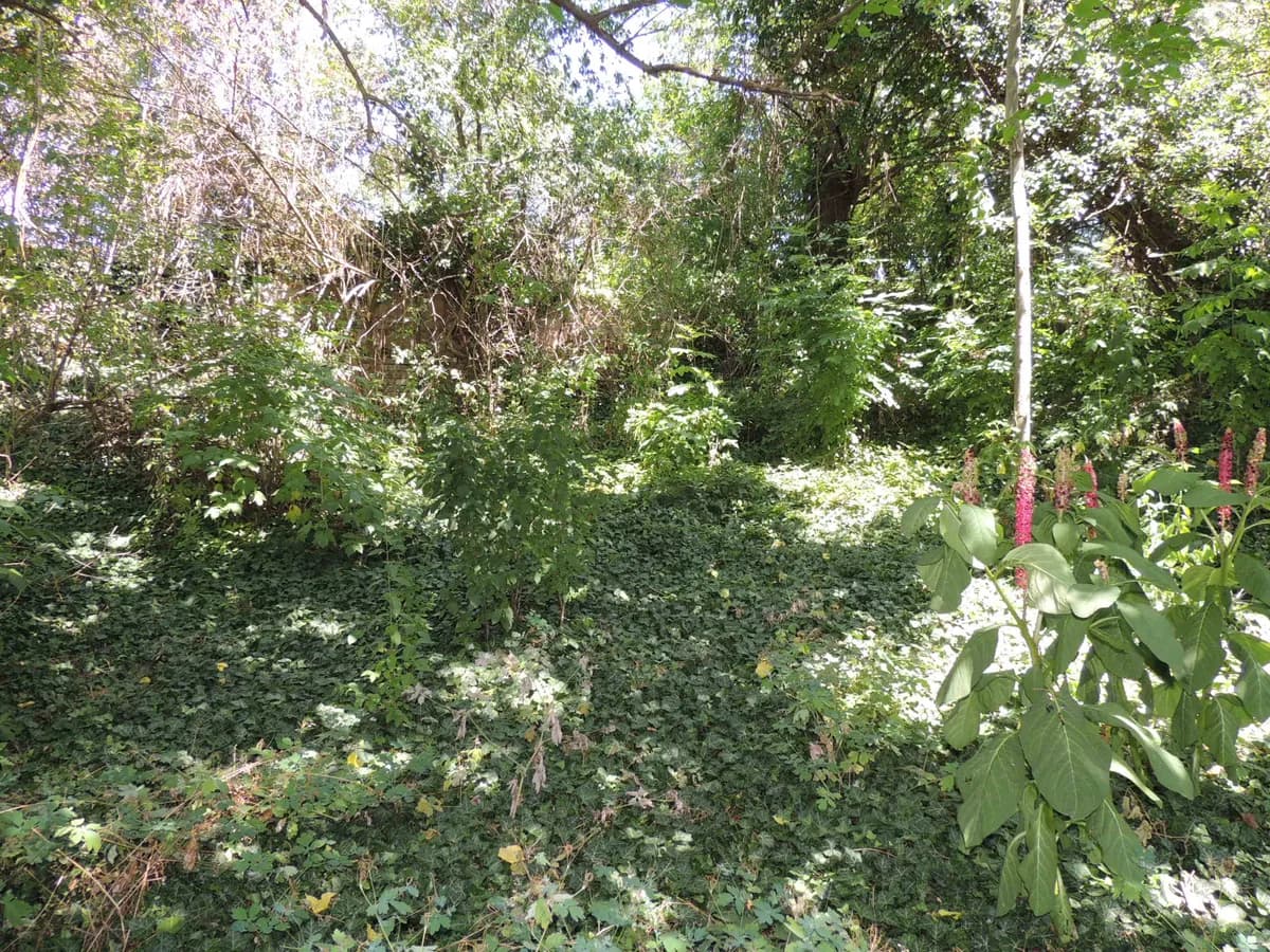 Immobilie kaufen in Hollabrunn – 200 m², € 85.000 – Bild 18 von 37