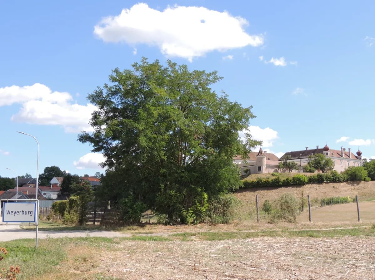 Immobilie kaufen in Hollabrunn – 200 m², € 85.000 – Bild 25 von 37