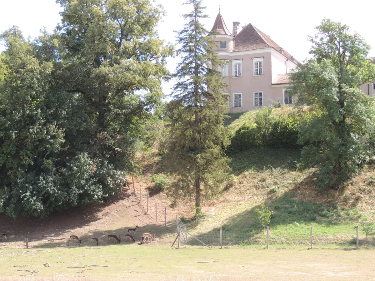 Immobilie kaufen in Hollabrunn – 200 m², € 85.000 – Bild 28 von 37