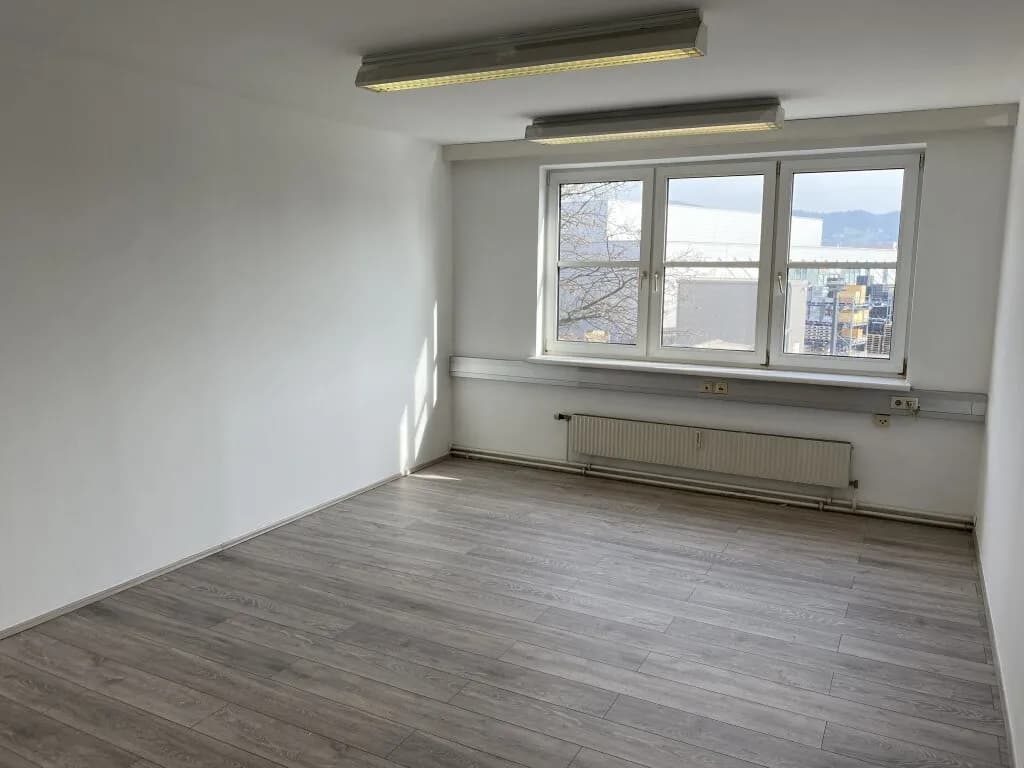 1-Zimmer-Gewerbeimmobilie mieten in Linz – 23 m², € 377 – Bild 3 von 10