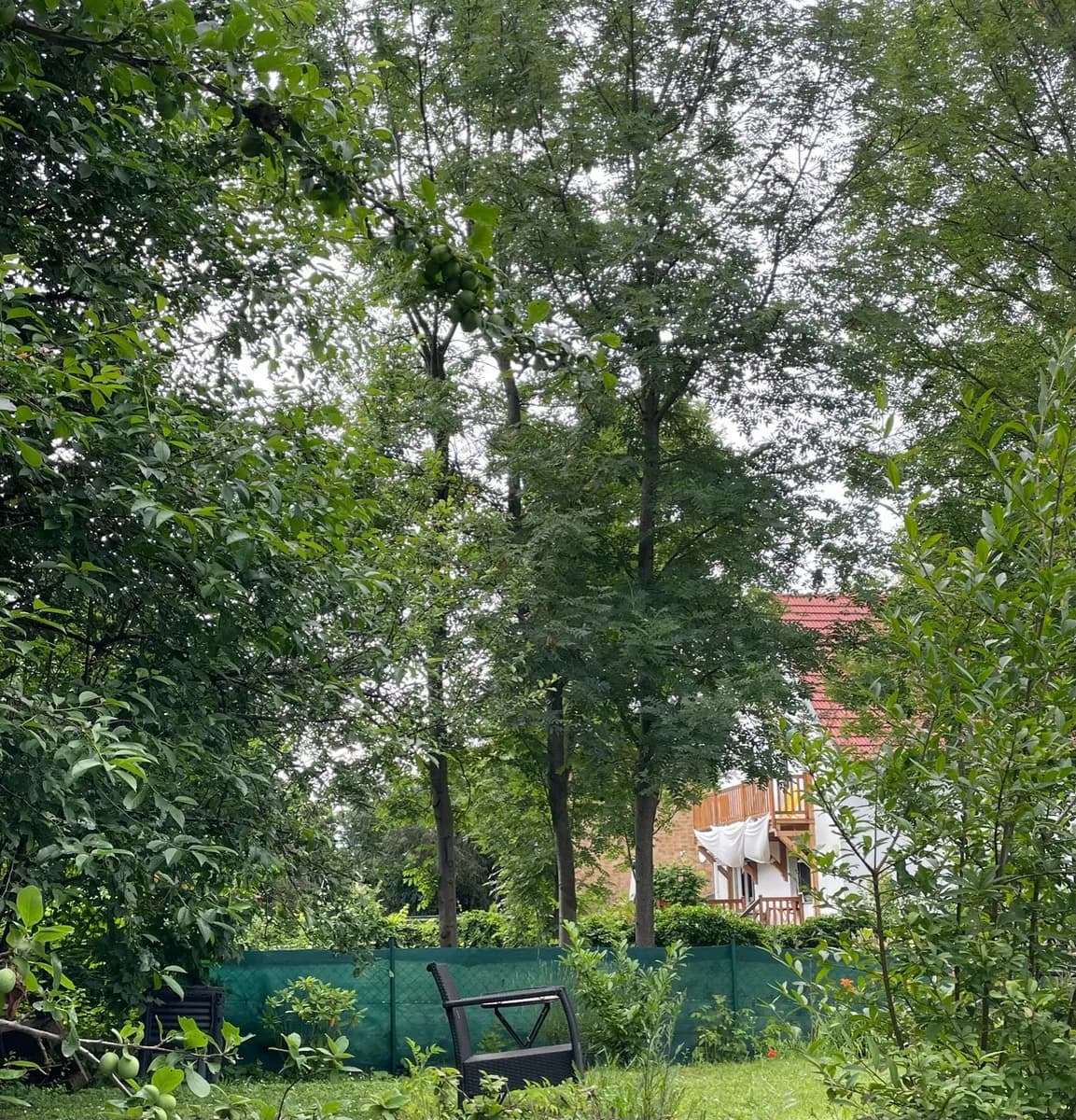 2-Zimmer-Wohnung mieten in Wien – 61 m², € 1.300 – Bild 11 von 11