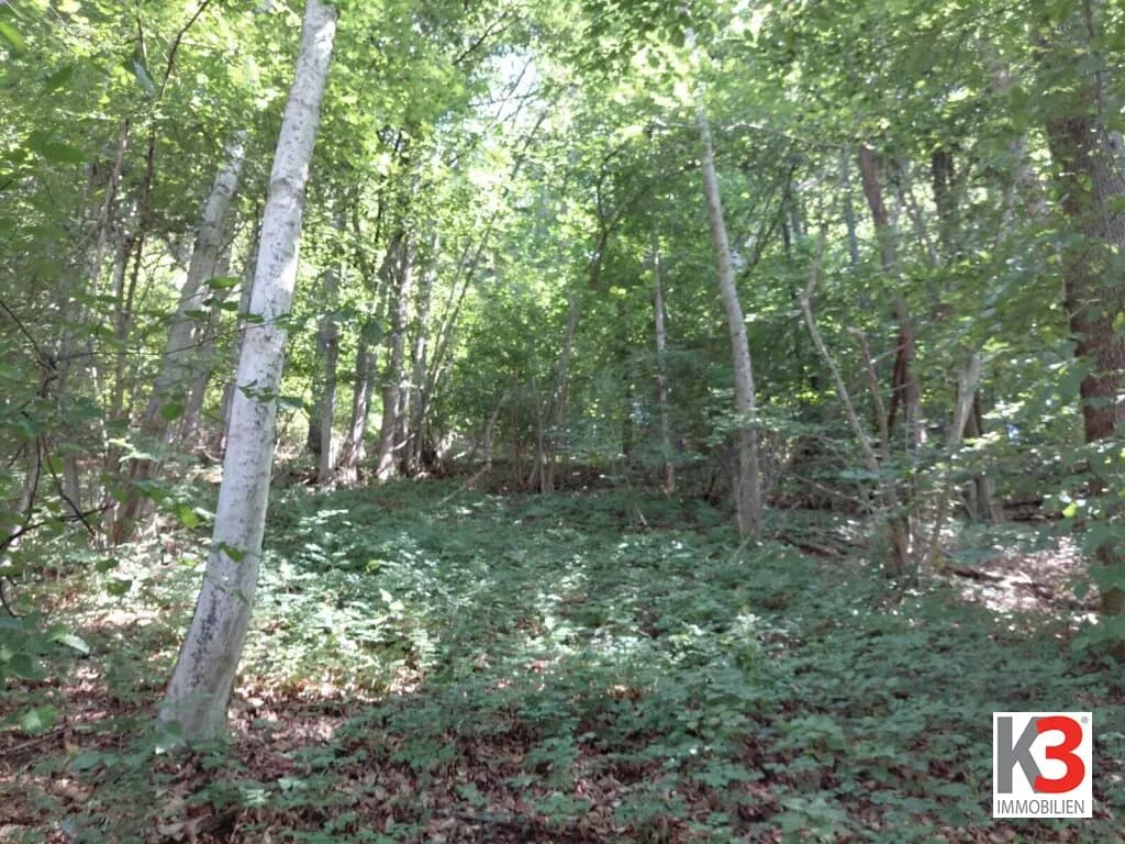 Immobilie kaufen in Klagenfurt Land – 5 552 m², € 19.000 – Bild 1 von 2