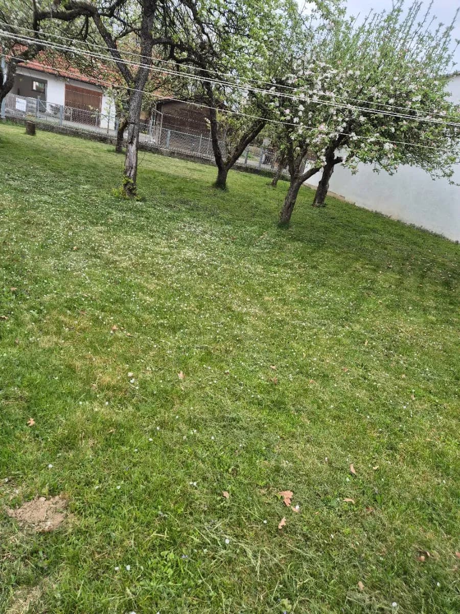 5-Zimmer-Haus kaufen in Südoststeiermark – 150 m², € 220.000 – Bild 12 von 52