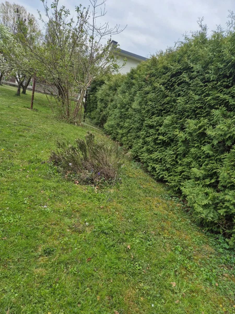 5-Zimmer-Haus kaufen in Südoststeiermark – 150 m², € 220.000 – Bild 15 von 52