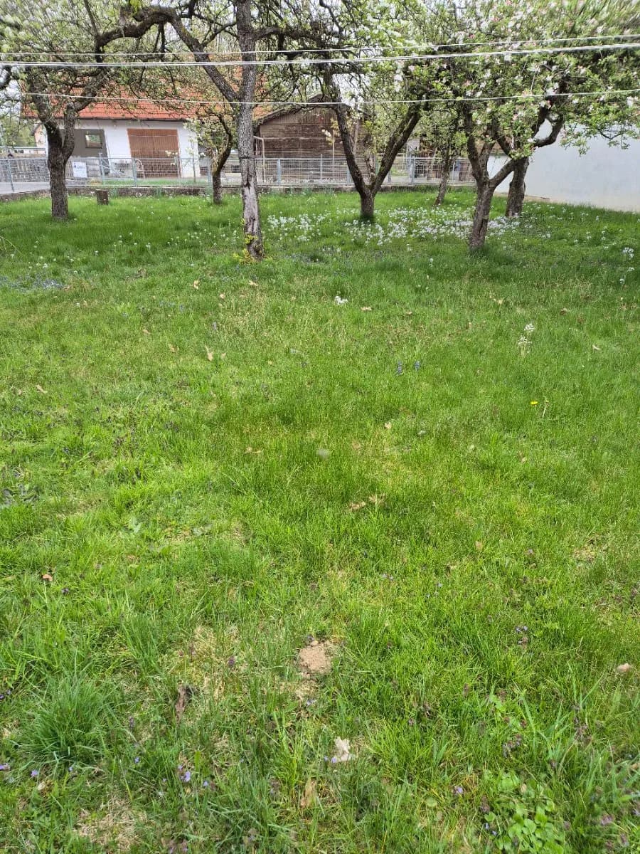 5-Zimmer-Haus kaufen in Südoststeiermark – 150 m², € 220.000 – Bild 19 von 52