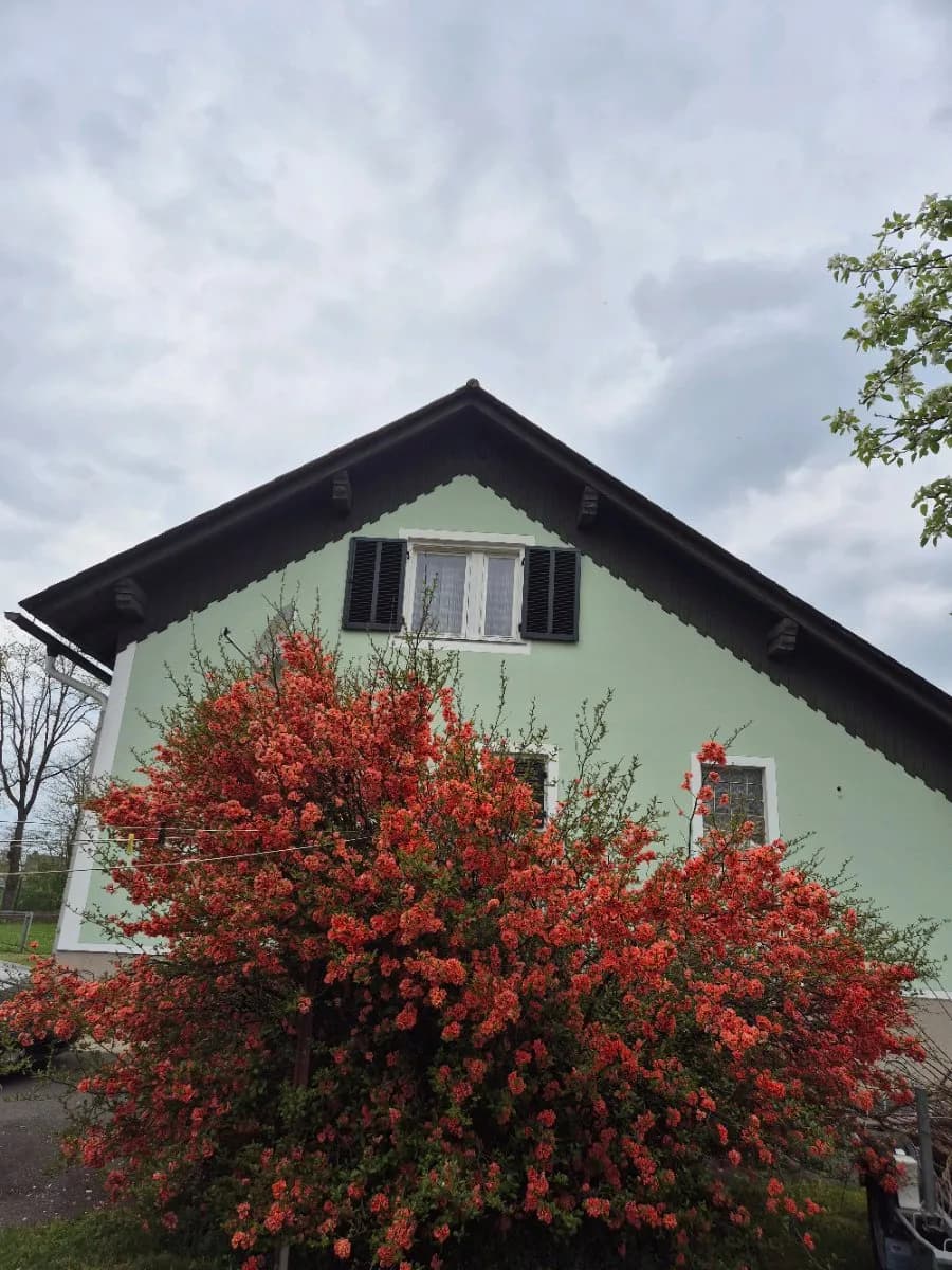 5-Zimmer-Haus kaufen in Südoststeiermark – 150 m², € 220.000 – Bild 23 von 52