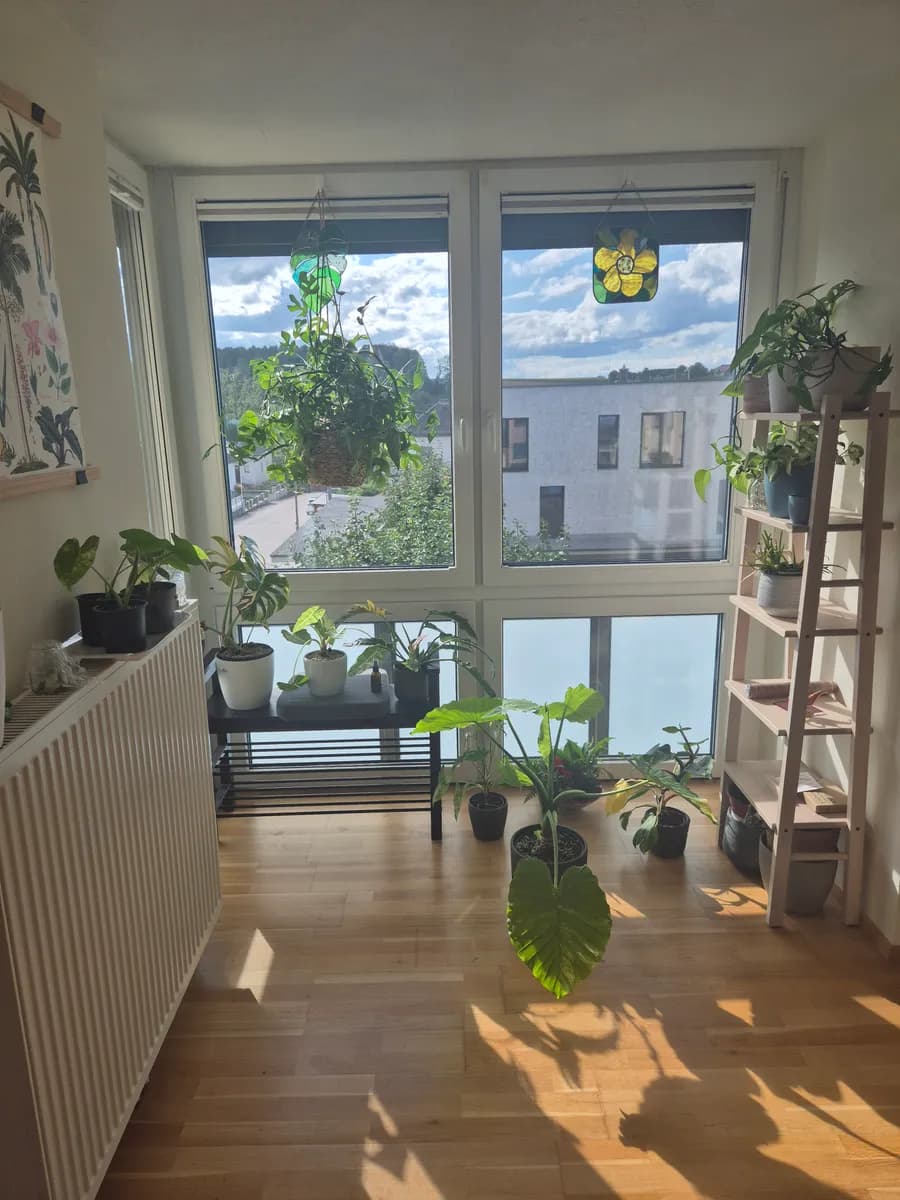 3-Zimmer-Wohnung mieten in Steyr-Land – 86 m², € 1.080 – Bild 7 von 11