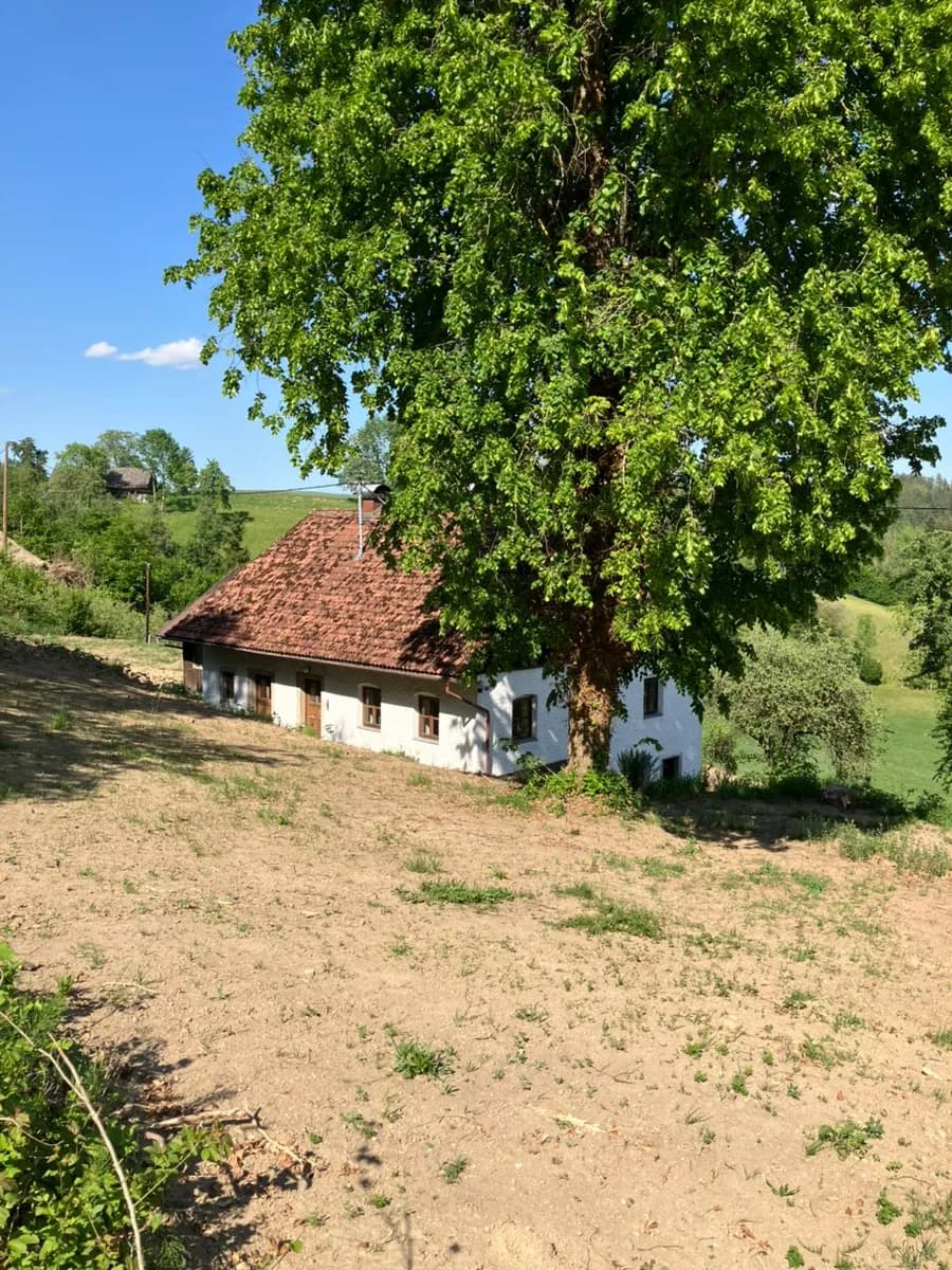 3-Zimmer-Haus kaufen in Rohrbach – 88 m², € 209.000 – Bild 3 von 24