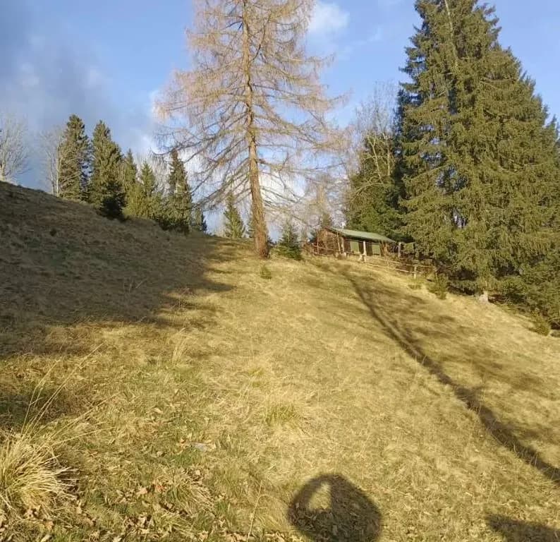 1-Zimmer-Wohnung mieten in Wolfsberg – 26 m² – Bild 1 von 10