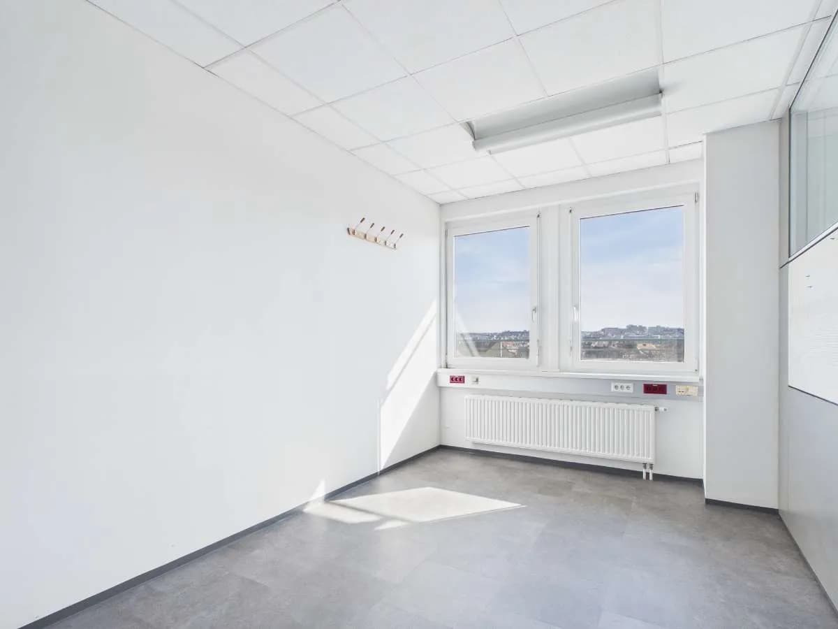 Gewerbeimmobilie mieten in Wien – 1 549 m², € 30.385 – Bild 6 von 8