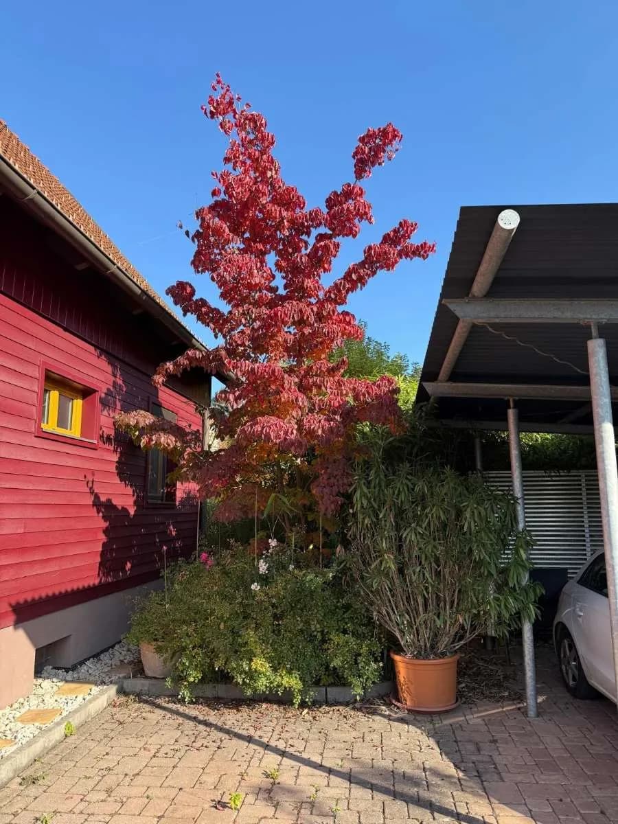 Haus kaufen in Klagenfurt – 99,57 m², € 439.000 – Bild 4 von 19