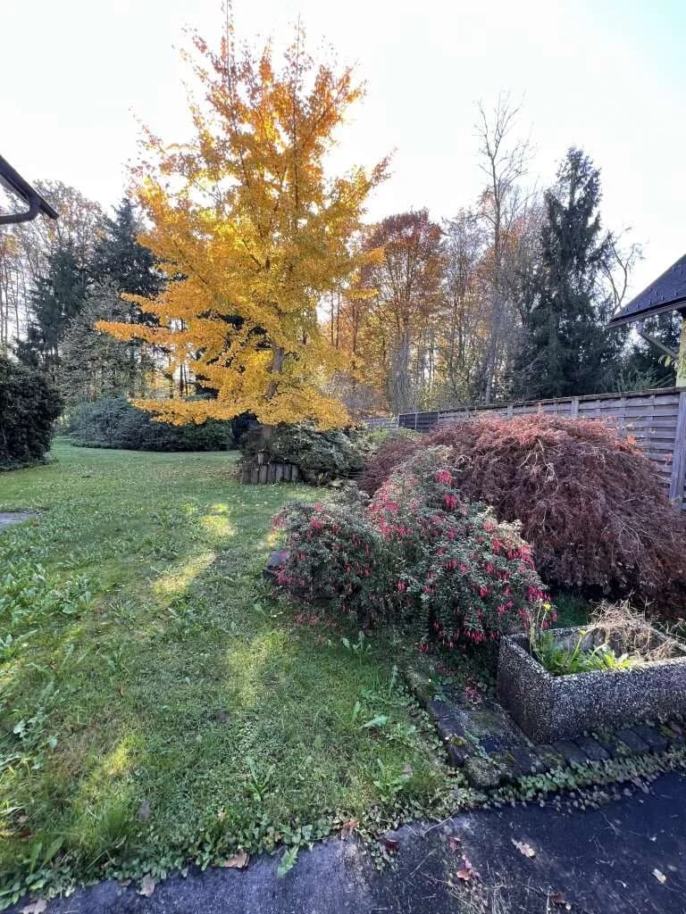 5-Zimmer-Gewerbeimmobilie kaufen in Deutschlandsberg – 160,94 m², € 370.000 – Bild 11 von 22