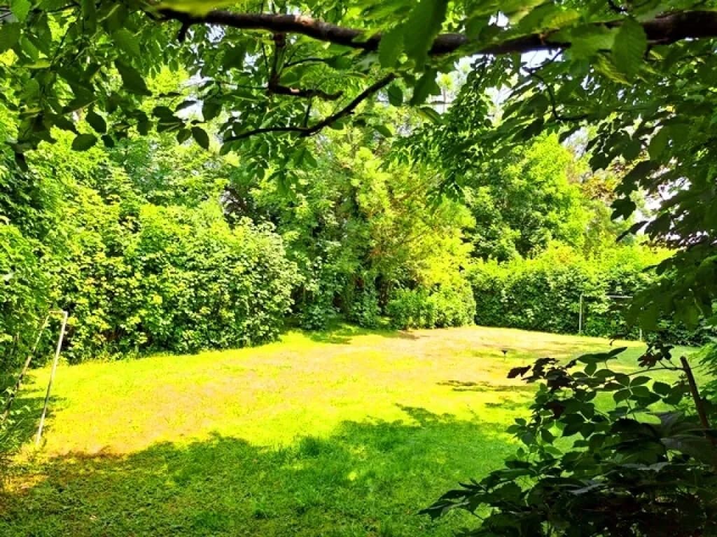 Grundstück kaufen in Mistelbach – 806 m², € 200.000