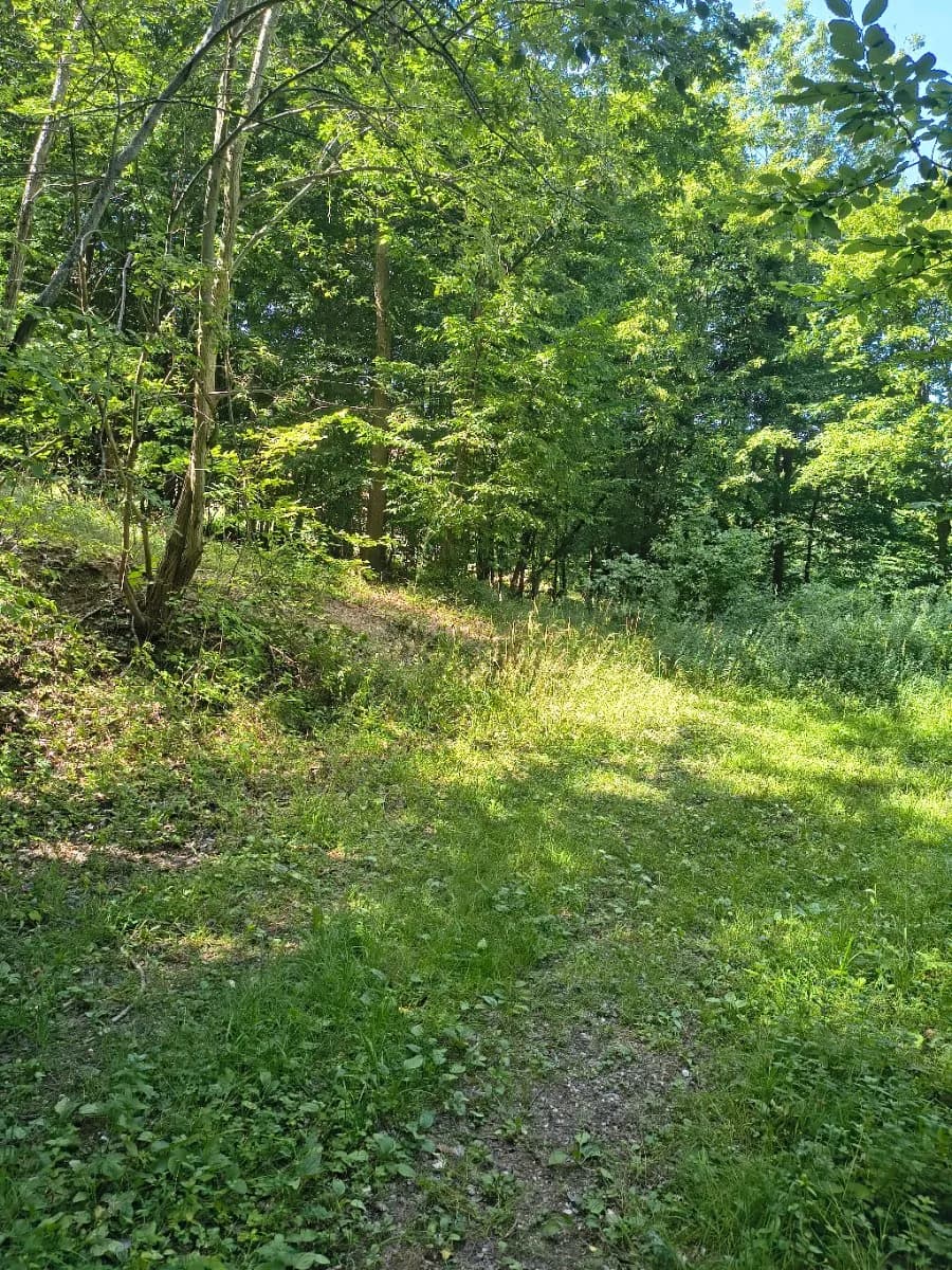 Grundstück kaufen in Krems Land – 13 729 m², € 49.000 – Bild 3 von 11