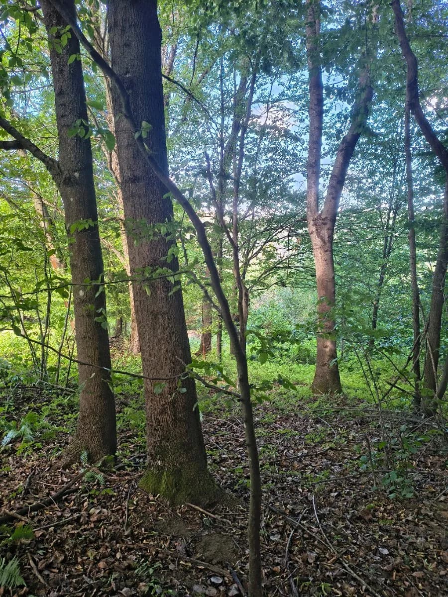 Grundstück kaufen in Krems Land – 13 729 m², € 49.000 – Bild 5 von 11